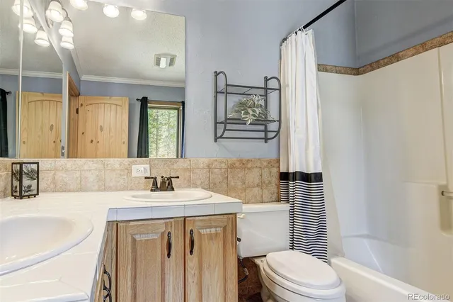 a bathroom with a sink a toilet a mirror a vanity and shower