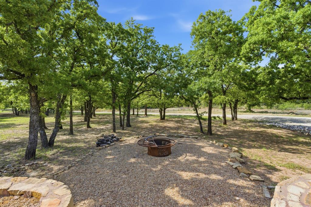 2197 Netherly Lane Forestburg, TX 76239 - Photo 27 of 40 a view of a tree in the middle of a yard