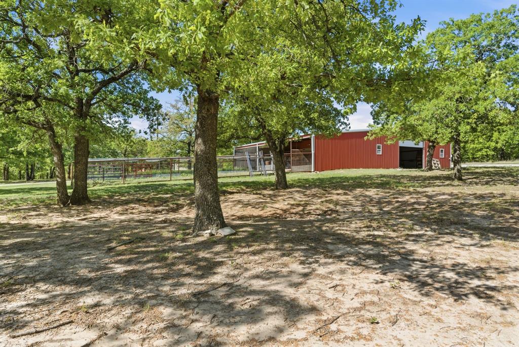 2197 Netherly Lane Forestburg, TX 76239 - Photo 34 of 40 a view of a yard with plants and trees