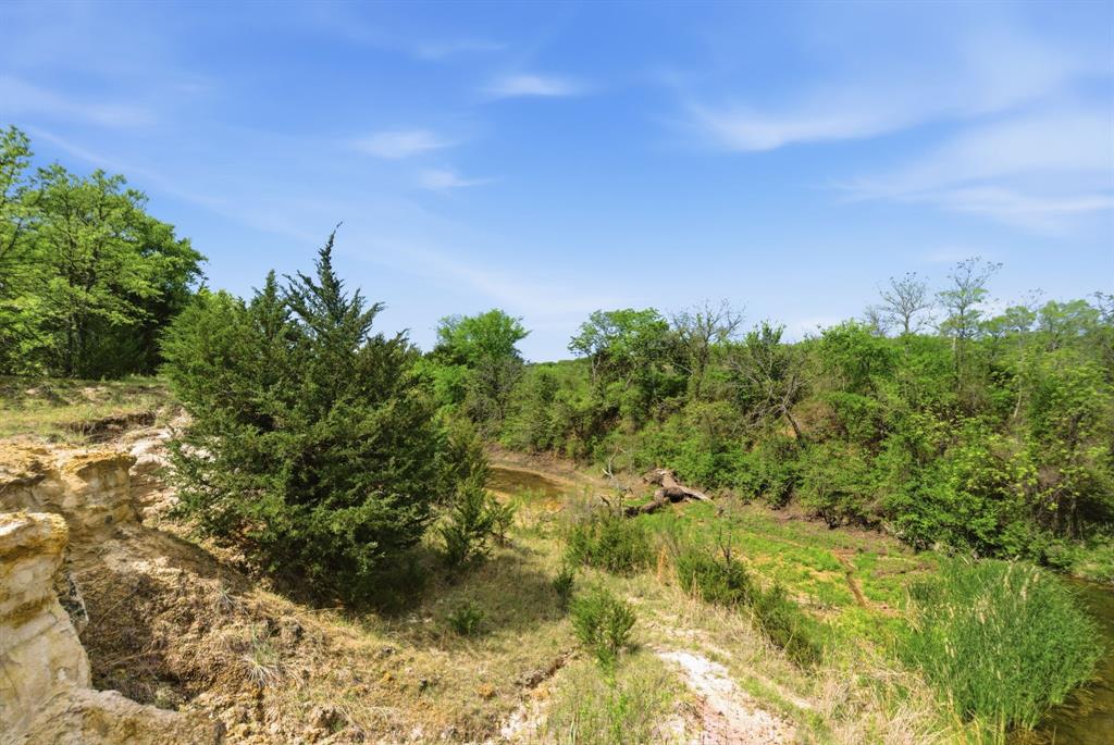 2197 Netherly Lane Forestburg, TX 76239 - Photo 38 of 40 a view of a bunch of trees and bushes
