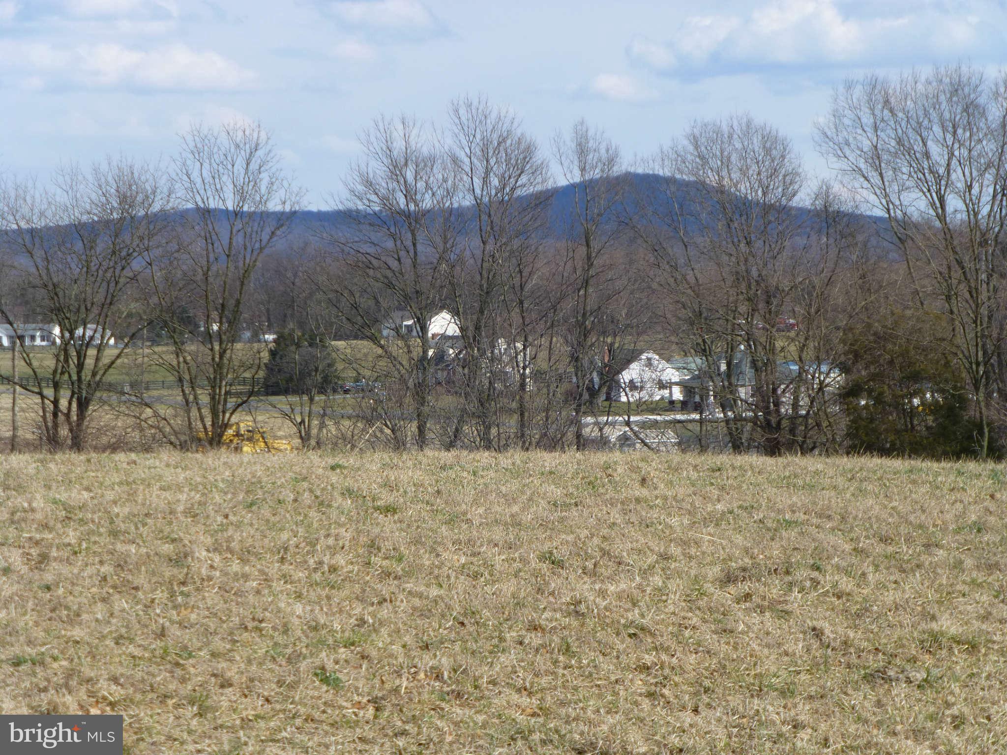 5138 Doubs Road Adamstown, MD 21710 - Photo 30 of 30 View
