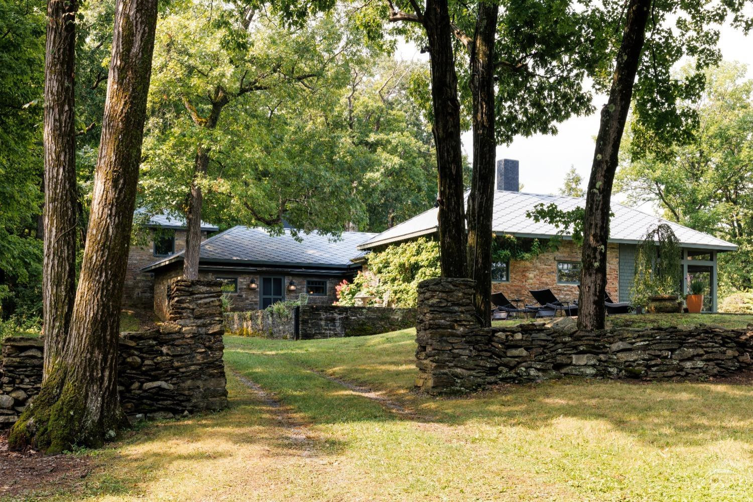 a view of a backyard with plants