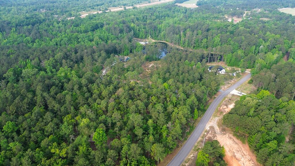 0 Mt Zion Road, Unit 5 Trenton, SC 29847 - Photo 7 of 26