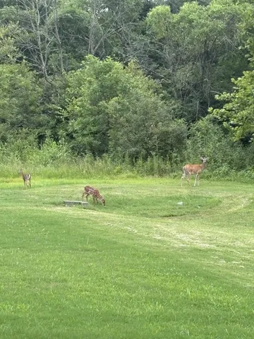 $818,900 | 3140 Hidden Creek Drive, Mount Juliet, TN 37122