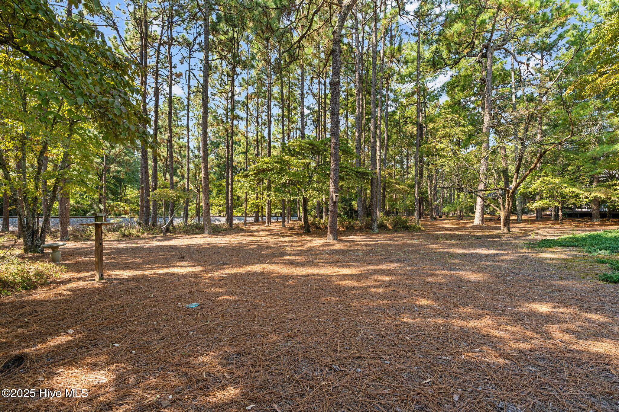 50 Wilson Road Pinehurst, NC 28374 - Photo 7 of 46 11-web-or-mls-DSC08499