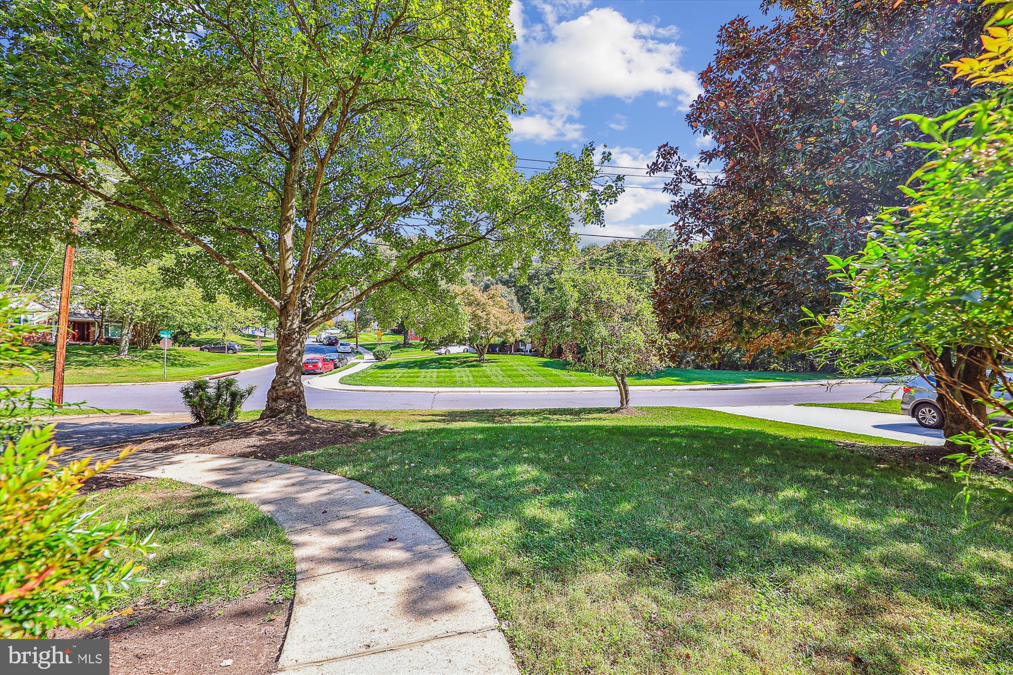 11616 Lovejoy Street Silver Spring, MD 20902 - Photo 4 of 72 Serene view from front of home to the street.
