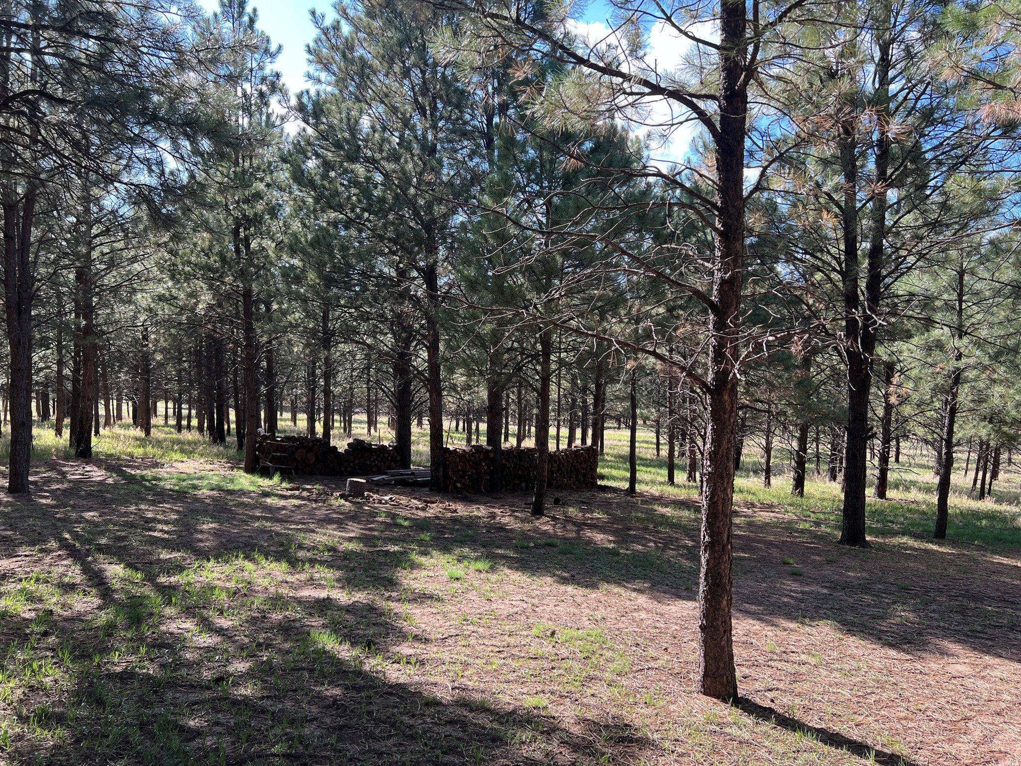 5 Canuto Court Rociada, NM 87742 - Photo 33 of 43 Gallery Image 33