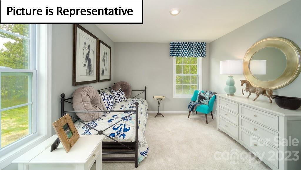 318 Streamwood Road Troutman, NC 28166 - Photo 29 of 48 Gallery Image 29