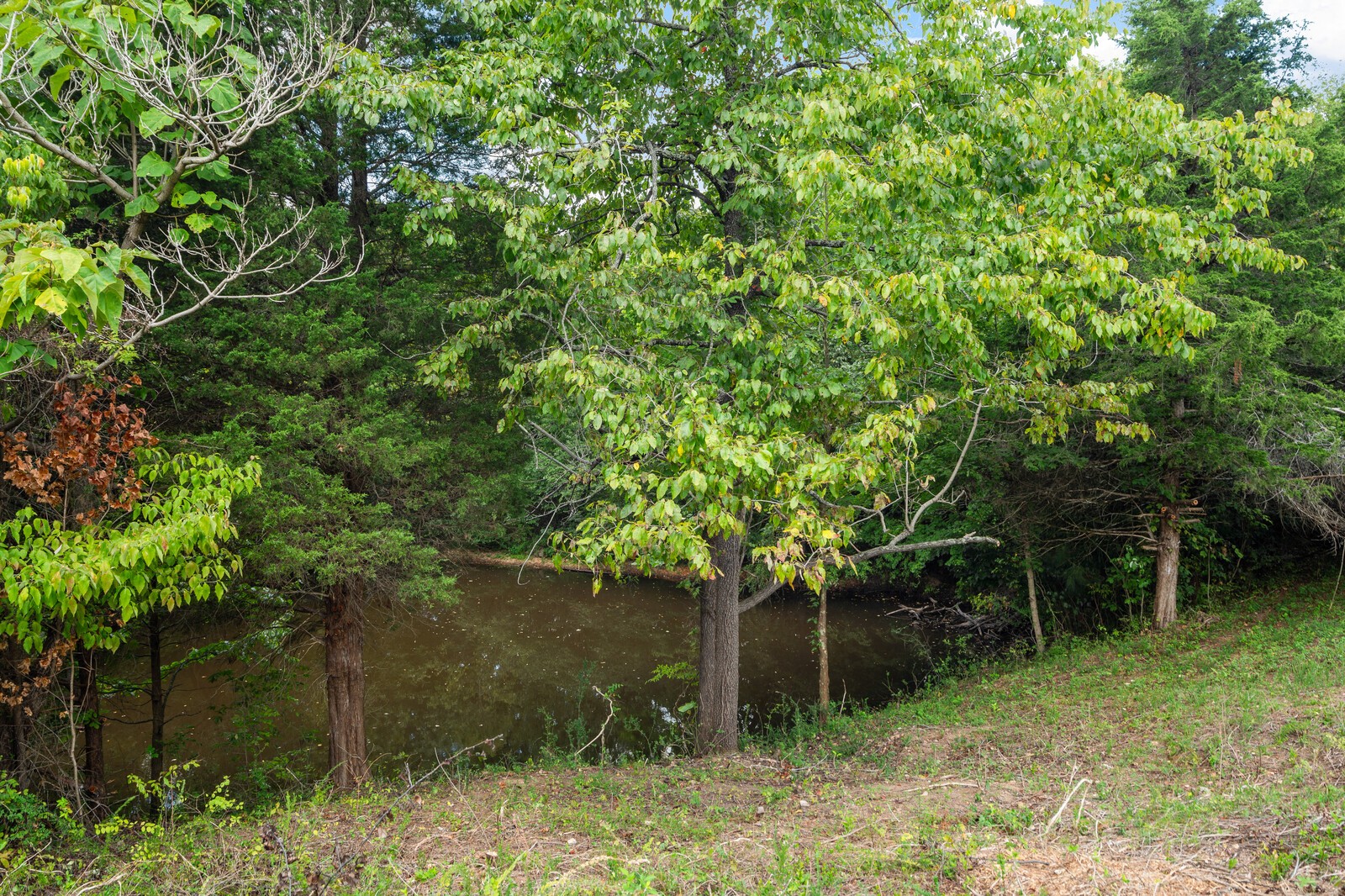 2114 Peach Orchard Road Culleoka, TN 38451 - Photo 45 of 47 Gallery Image 45