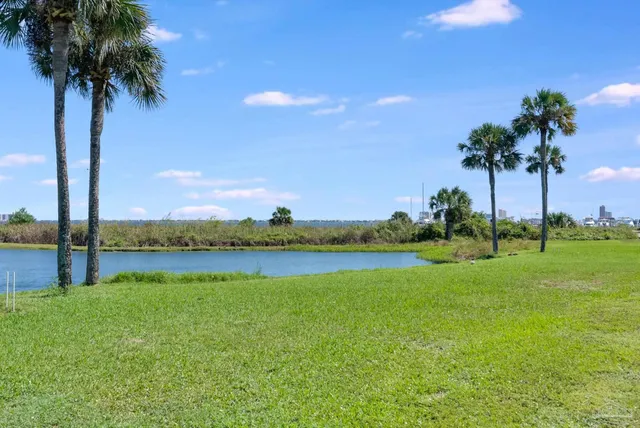a view of lake with palm trees