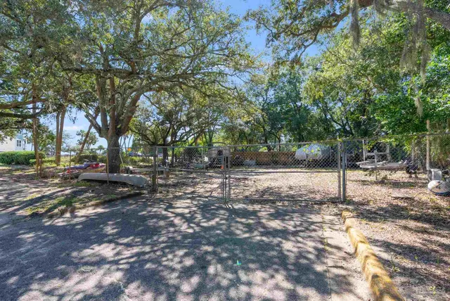 a view of a tree in the middle of a yard