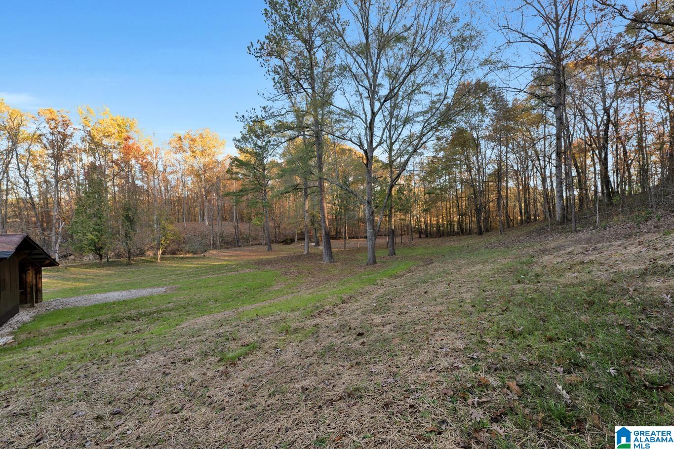 2240 Highway 17 Montevallo, AL 35115 - Photo 33 of 45