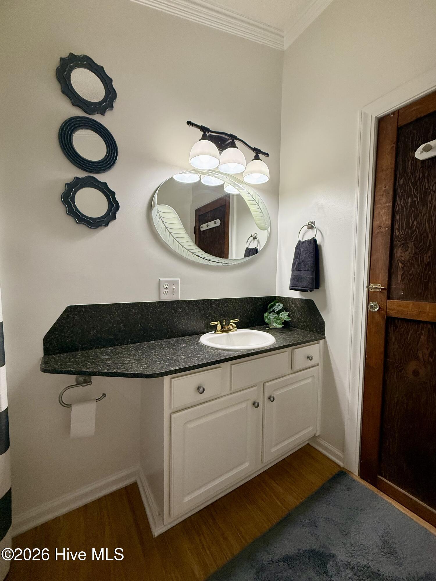 2714 Harrison Road Williamston, NC 27892 - Photo 61 of 78 Guest Bathroom