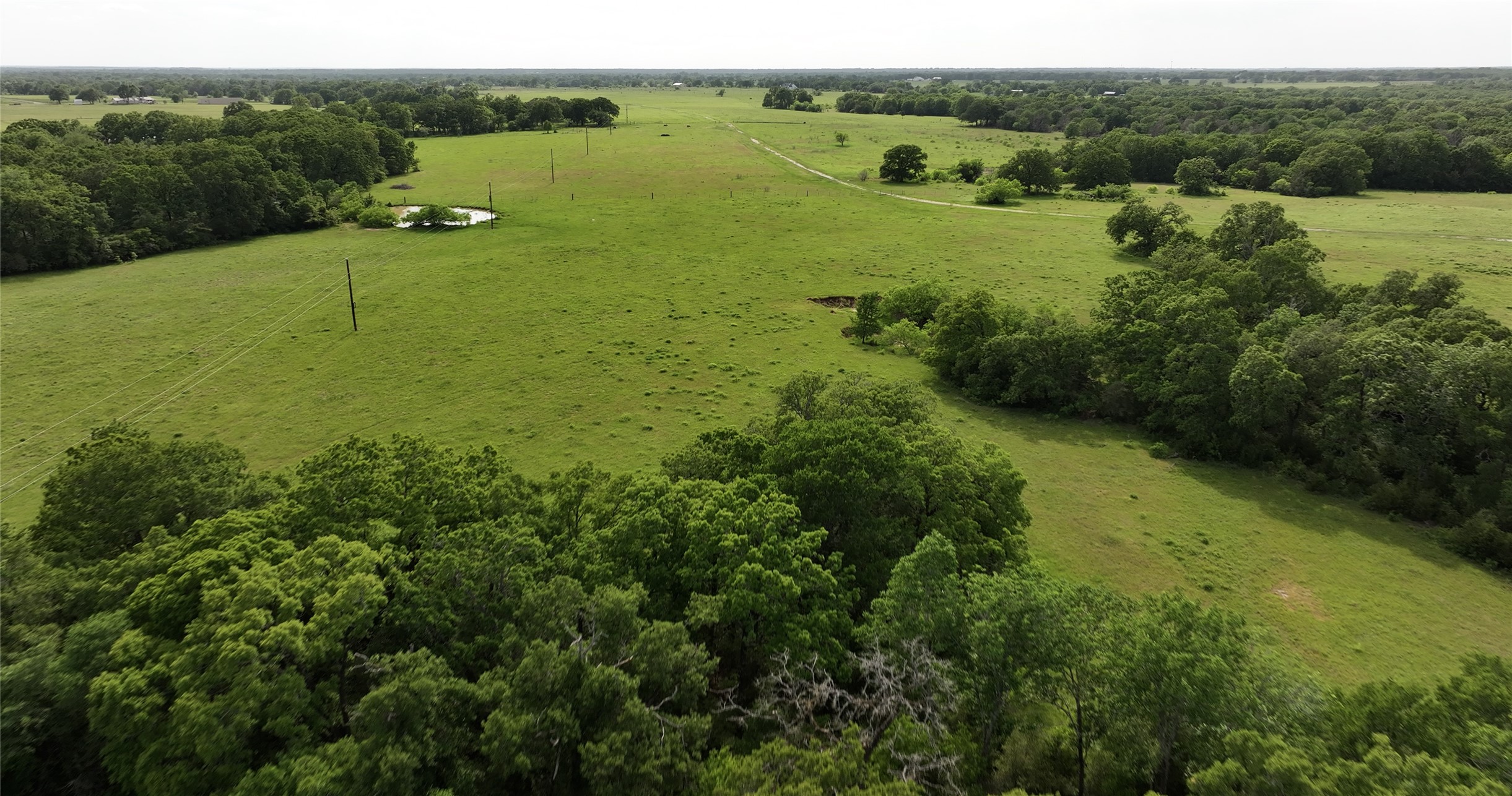 Tbd 18-ac Tbd 18-ac Baker Ridge Road Midway, TX 75852 - Photo 31 of 43