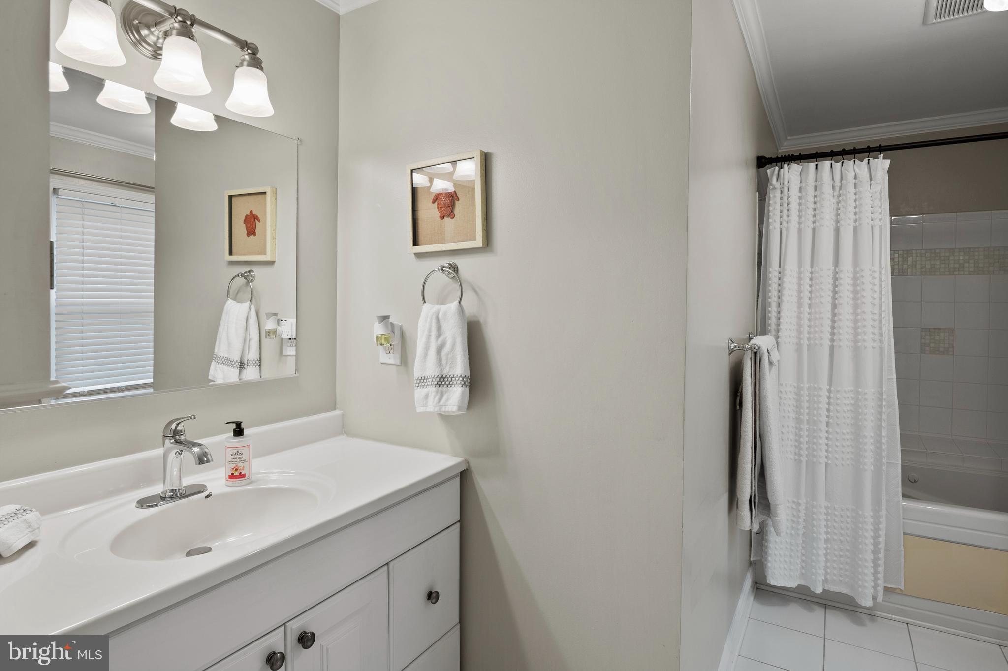 5950 Camelback Lane Columbia, MD 21045 - Photo 24 of 51 Primary Bath