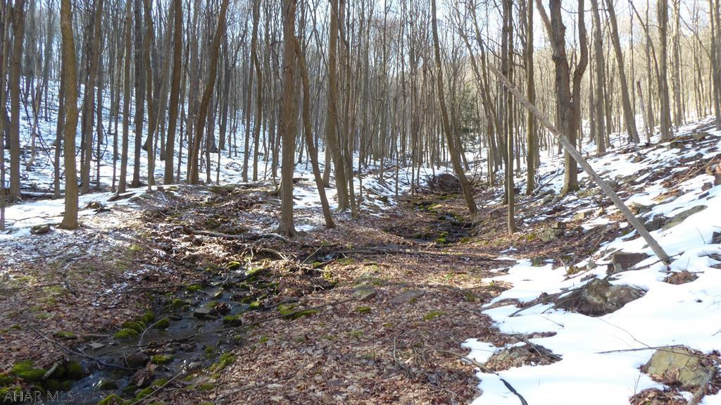 Off Leonard Road Alum Bank, PA 15521 - Photo 20 of 25 Gallery Image 20