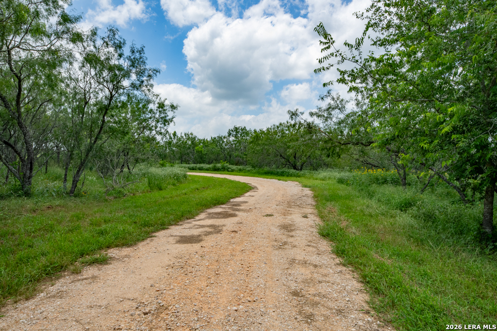 1393 Fox Trotter Road Seguin, TX 78155 - Photo 34 of 46