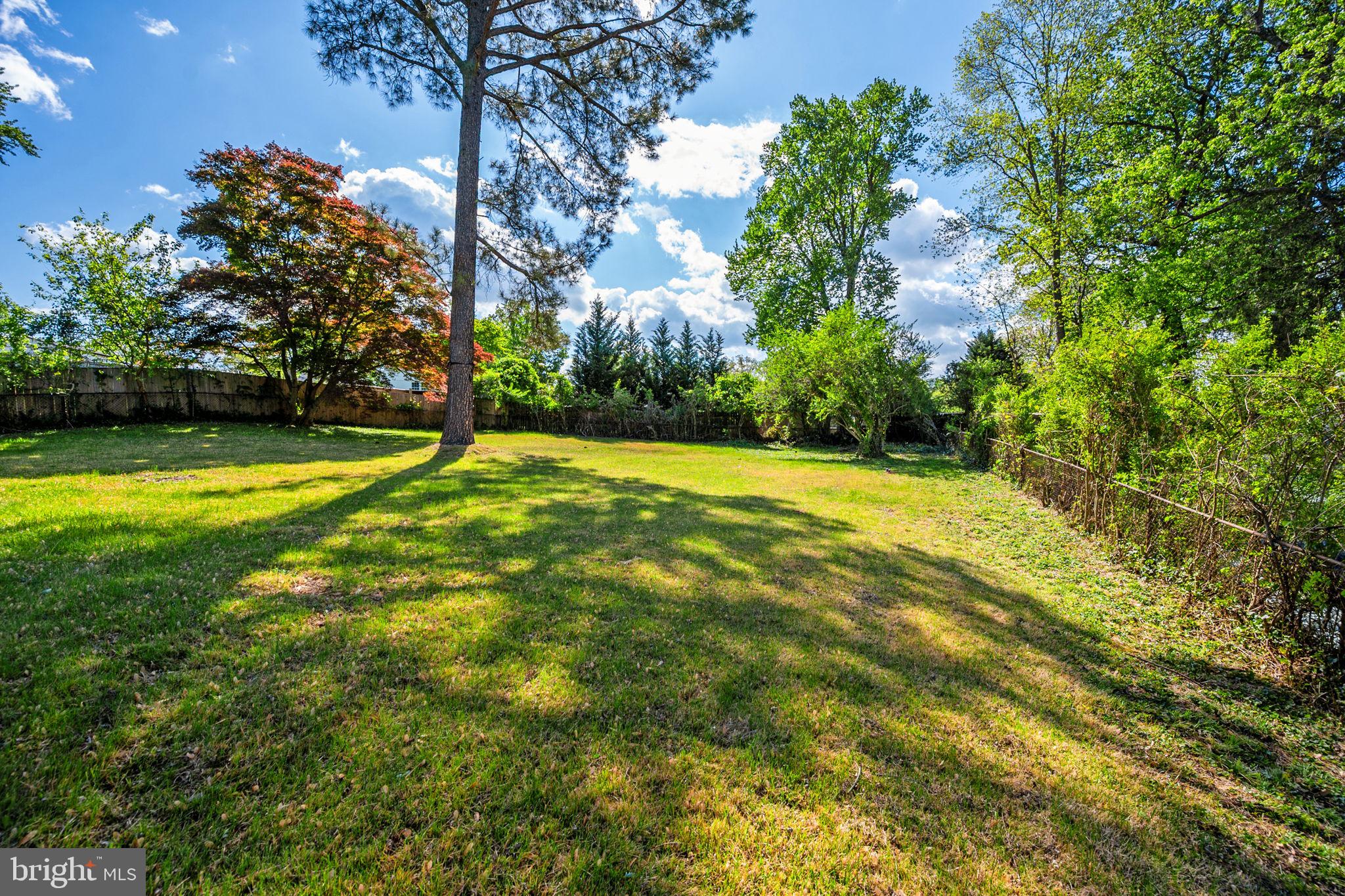 7505 Nottoway Place Springfield, VA 22150 - Photo 19 of 23 Spacious green oasis under blue skies.