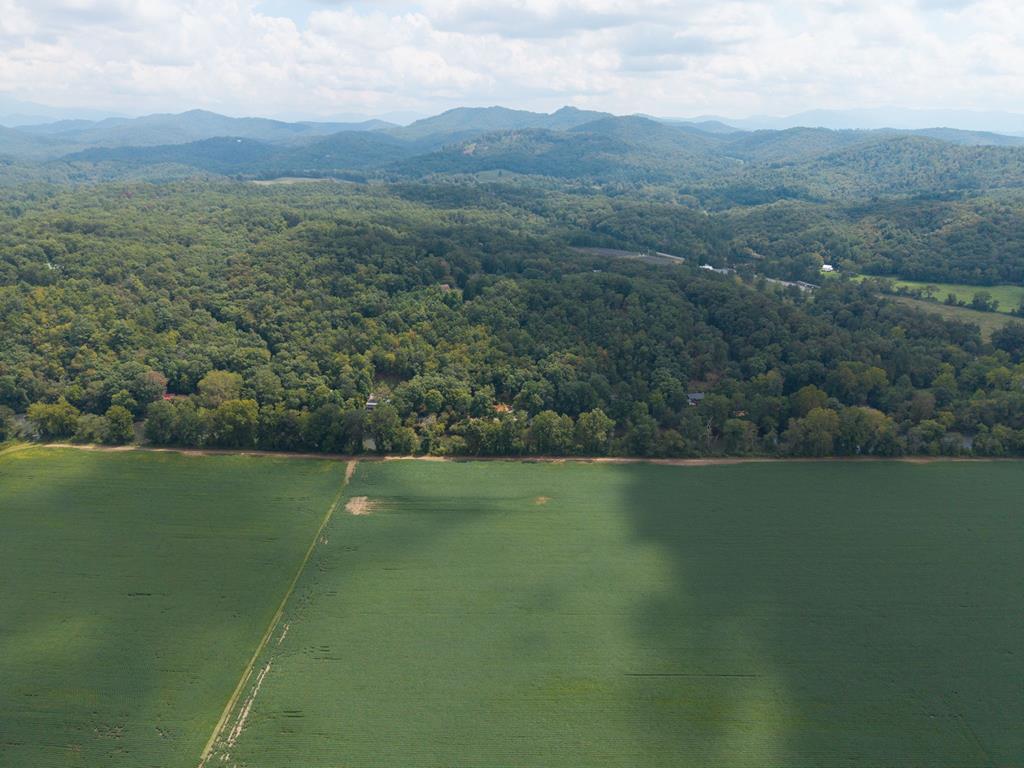 270 Hiawassee River Road Murphy, NC 28906 - Photo 43 of 50 a view of a field with an ocean