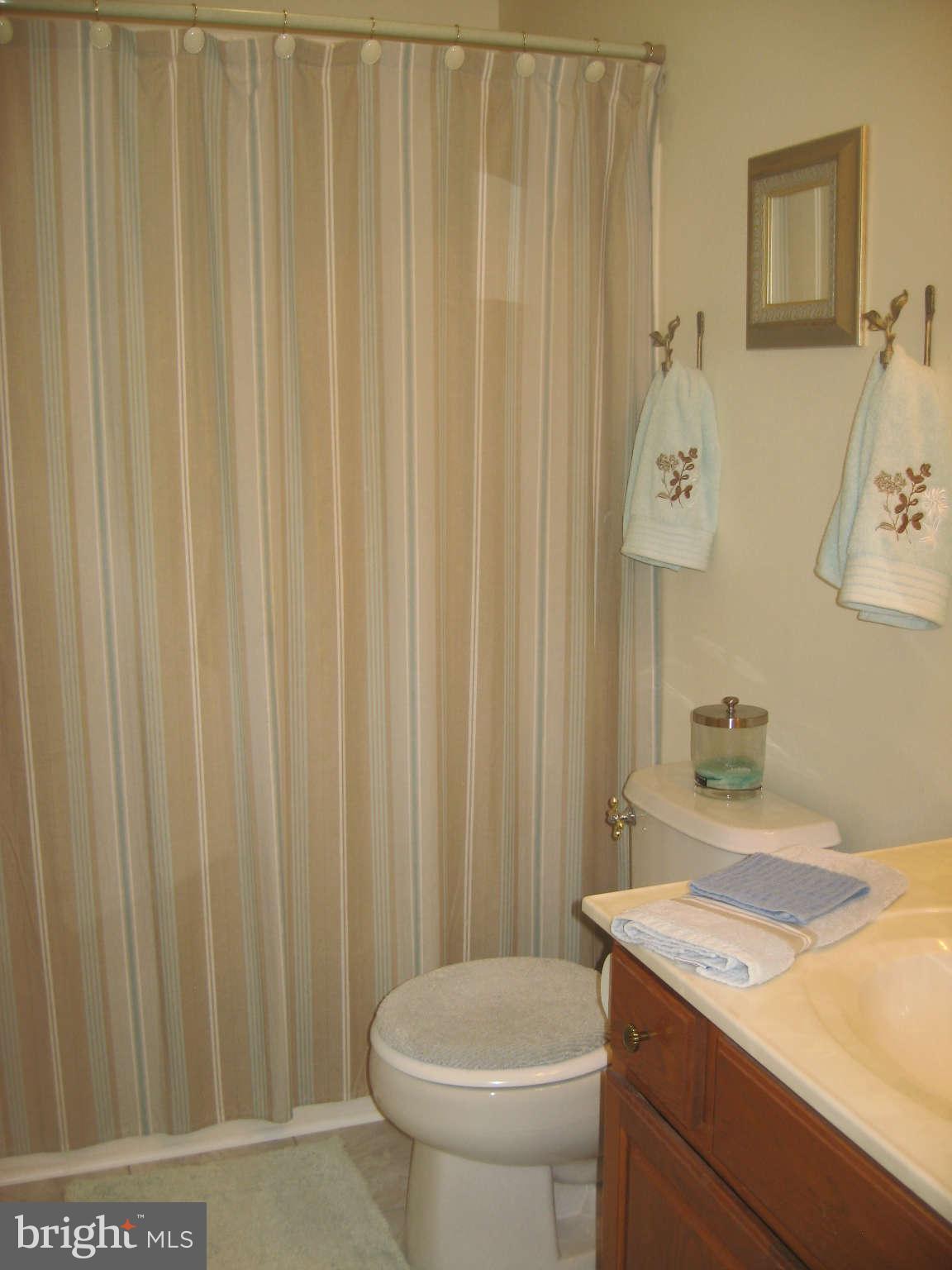 515 Cather Road Berryville, VA 22611 - Photo 11 of 30 Bath (Master)