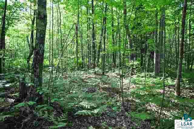 0 Bourgo Road Washburn, WI 54891 - Photo 5 of 10 Gallery Image 5