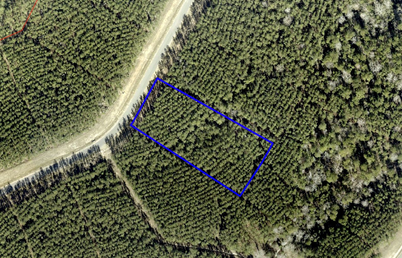 16053 Forest Mill Road Willis, TX 77378 - Photo 2 of 21