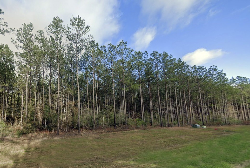 16053 Forest Mill Road Willis, TX 77378 - Photo 7 of 21