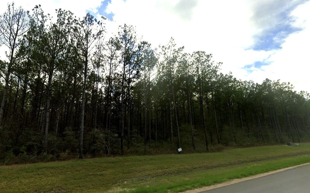 16053 Forest Mill Road Willis, TX 77378 - Photo 8 of 21