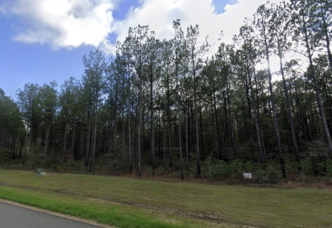 16053 Forest Mill Road Willis, TX 77378 - Photo 9 of 21