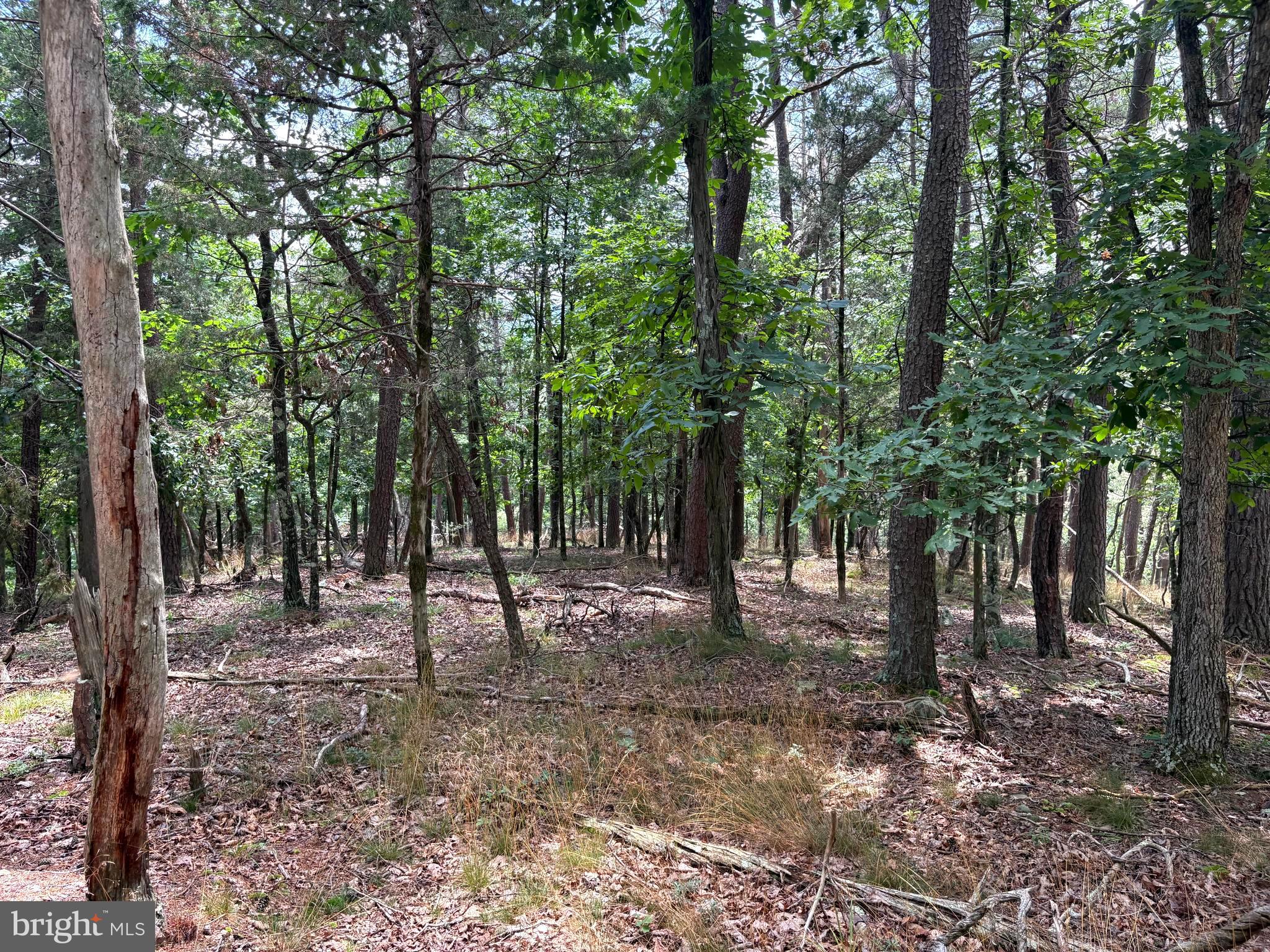 7313 Little Cacapon Road Romney, WV 26757 - Photo 4 of 18