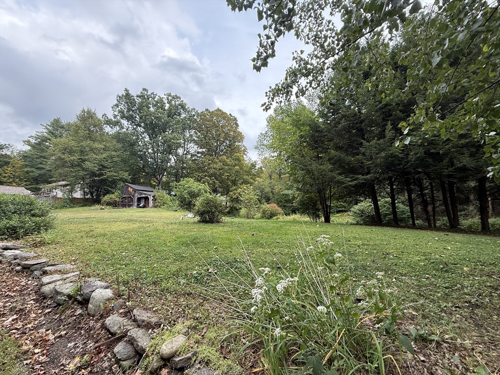 a view of a field with trees in the background