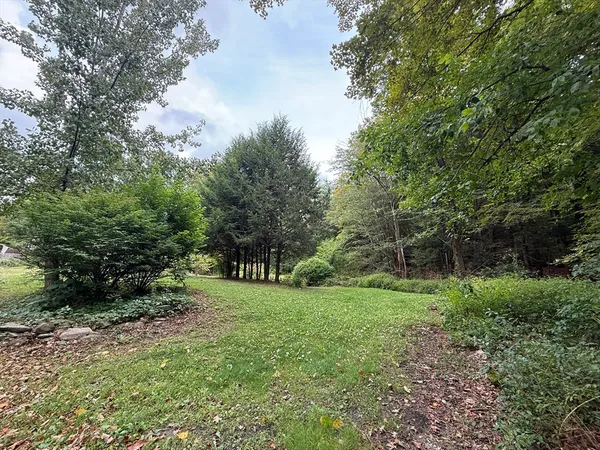a view of green field with trees in the background