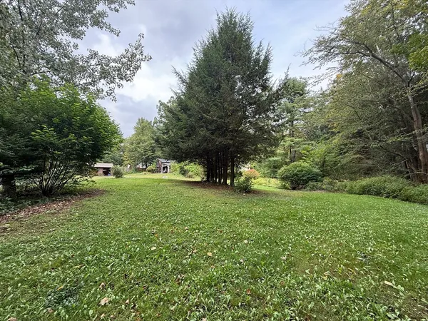 a view of a park with large trees