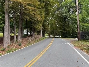 a view of road with trees