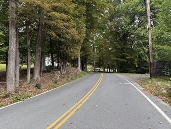 25 Basket Street Huntington, MA 01050 - Photo 8 of 8 a view of road with trees