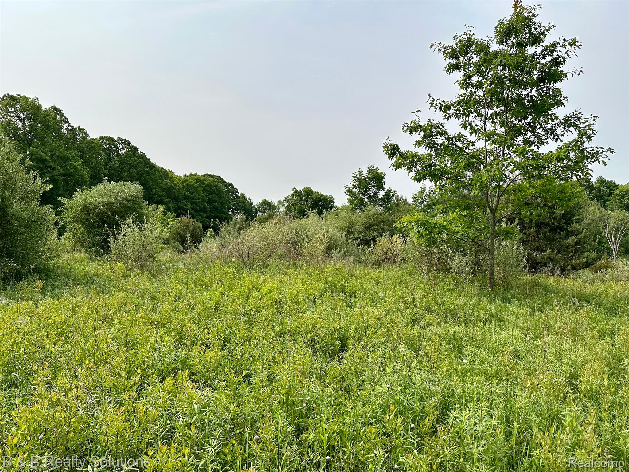 0 West Coulter Road Lapeer, MI 48446 - Photo 5 of 13 Gallery Image 5