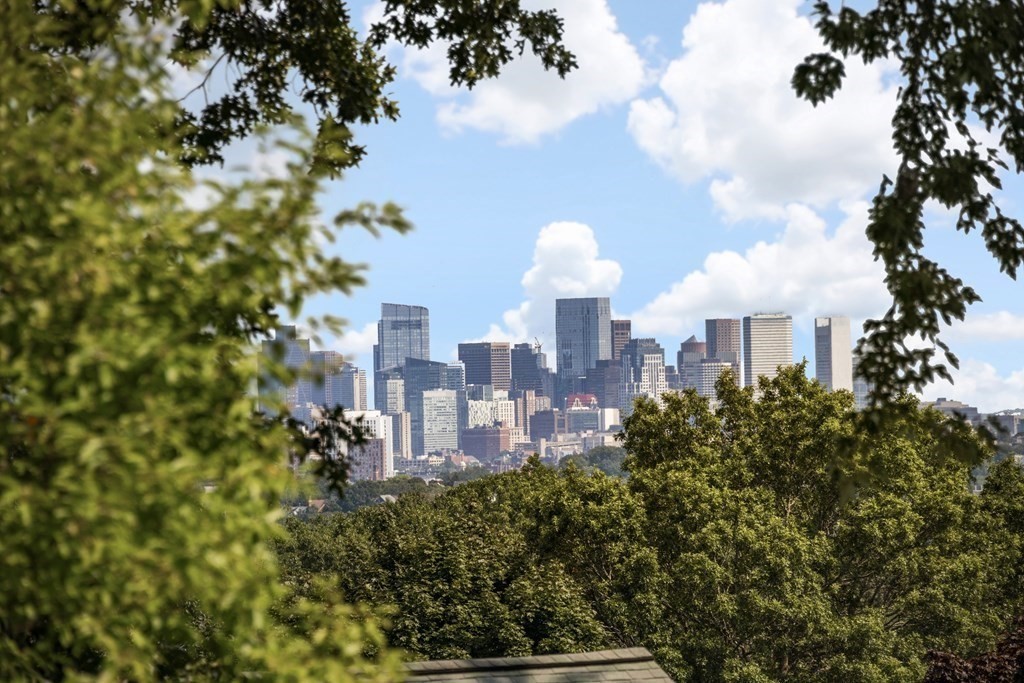 11 Arborview Road Boston, MA 02130 - Photo 40 of 42