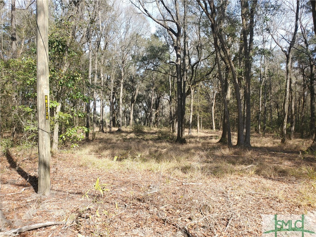 Lot 6 Big Oak Road Riceboro, GA 31323 - Photo 3 of 4 Gallery Image 3