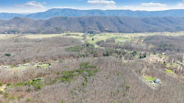 a view of a backyard with wooden fence