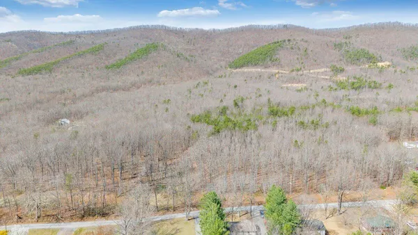 a view of a dry yard with mountains