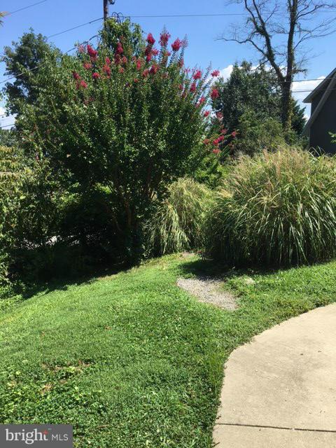 6037 Bayview Road St. Leonard, MD 20685 - Photo 20 of 24 Landscaping