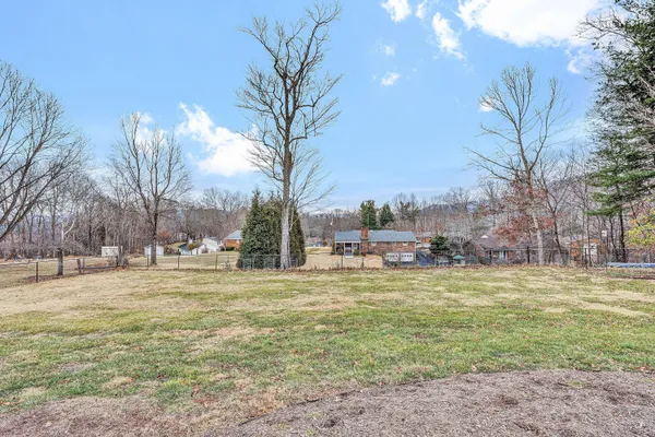 a view of a yard with a trees