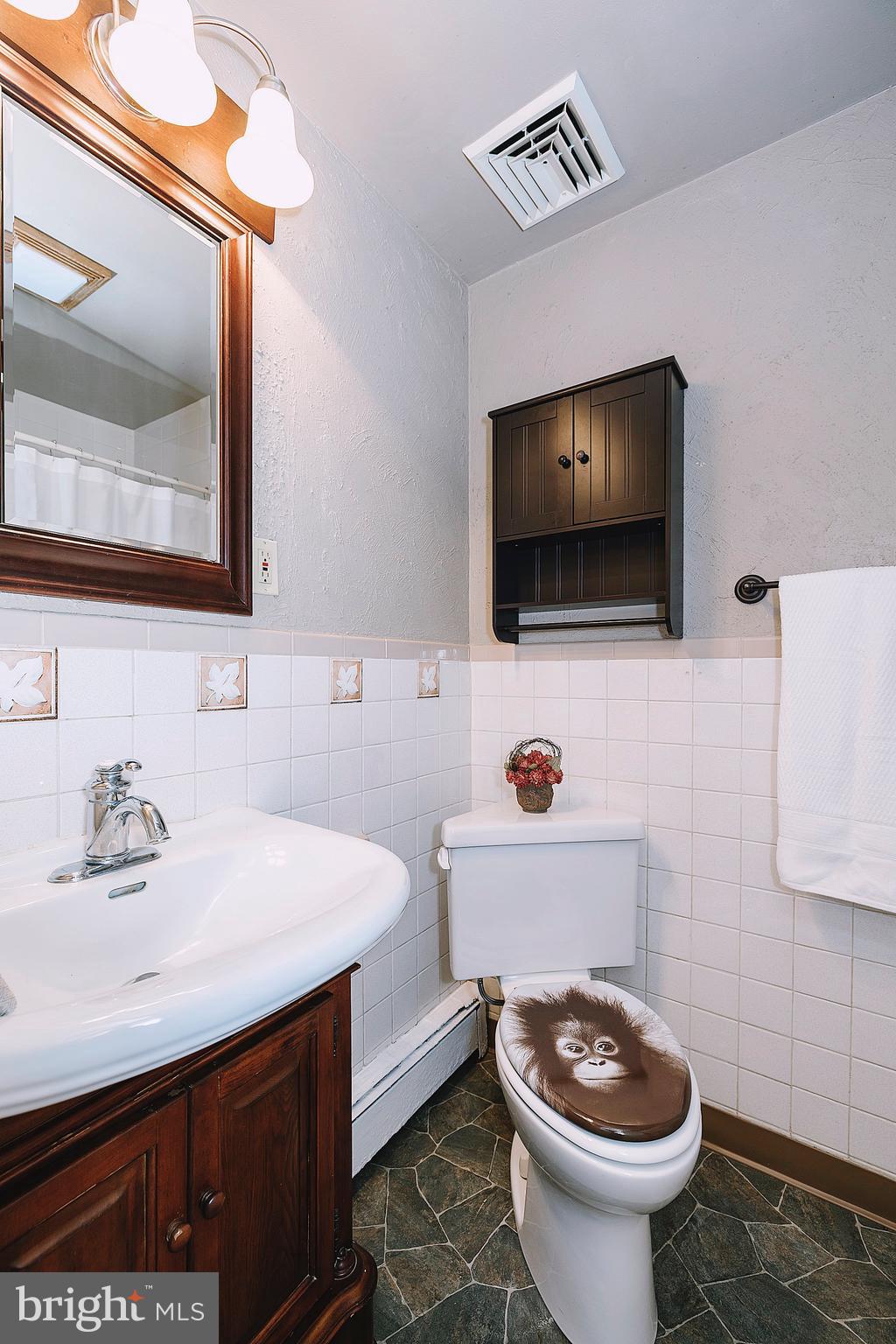 1107 West Bridge Street Spring City, PA 19475 - Photo 24 of 34 Full Bath in Hall