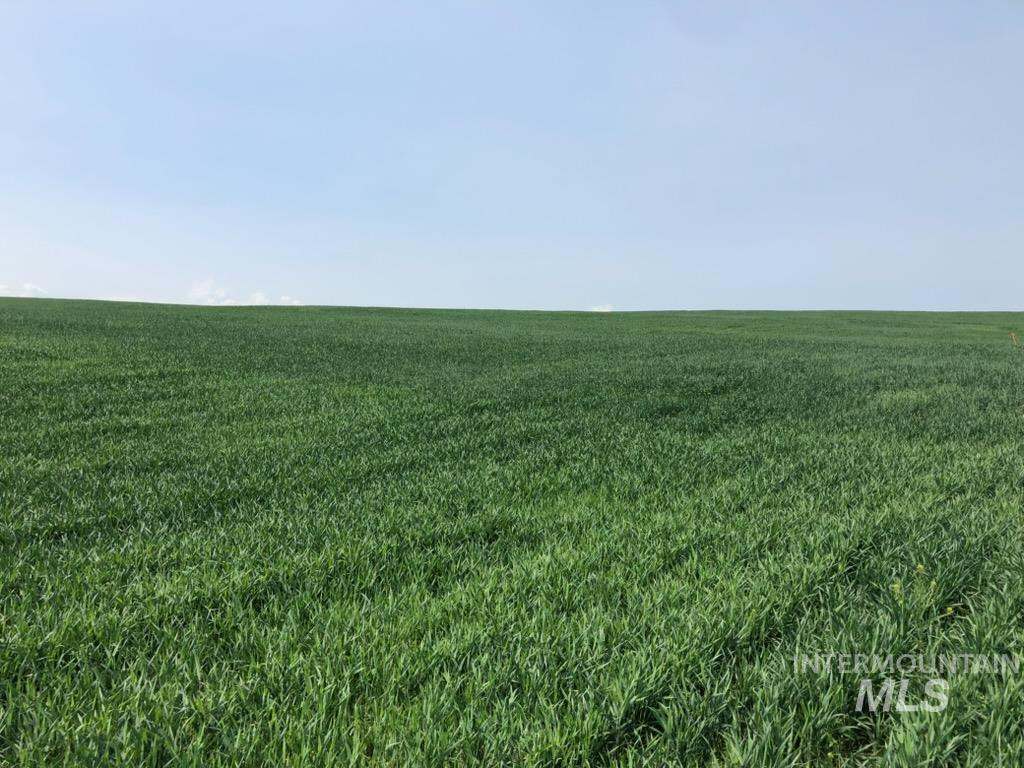 6451 Little Freezeout Road Caldwell, ID 83607 - Photo 27 of 50