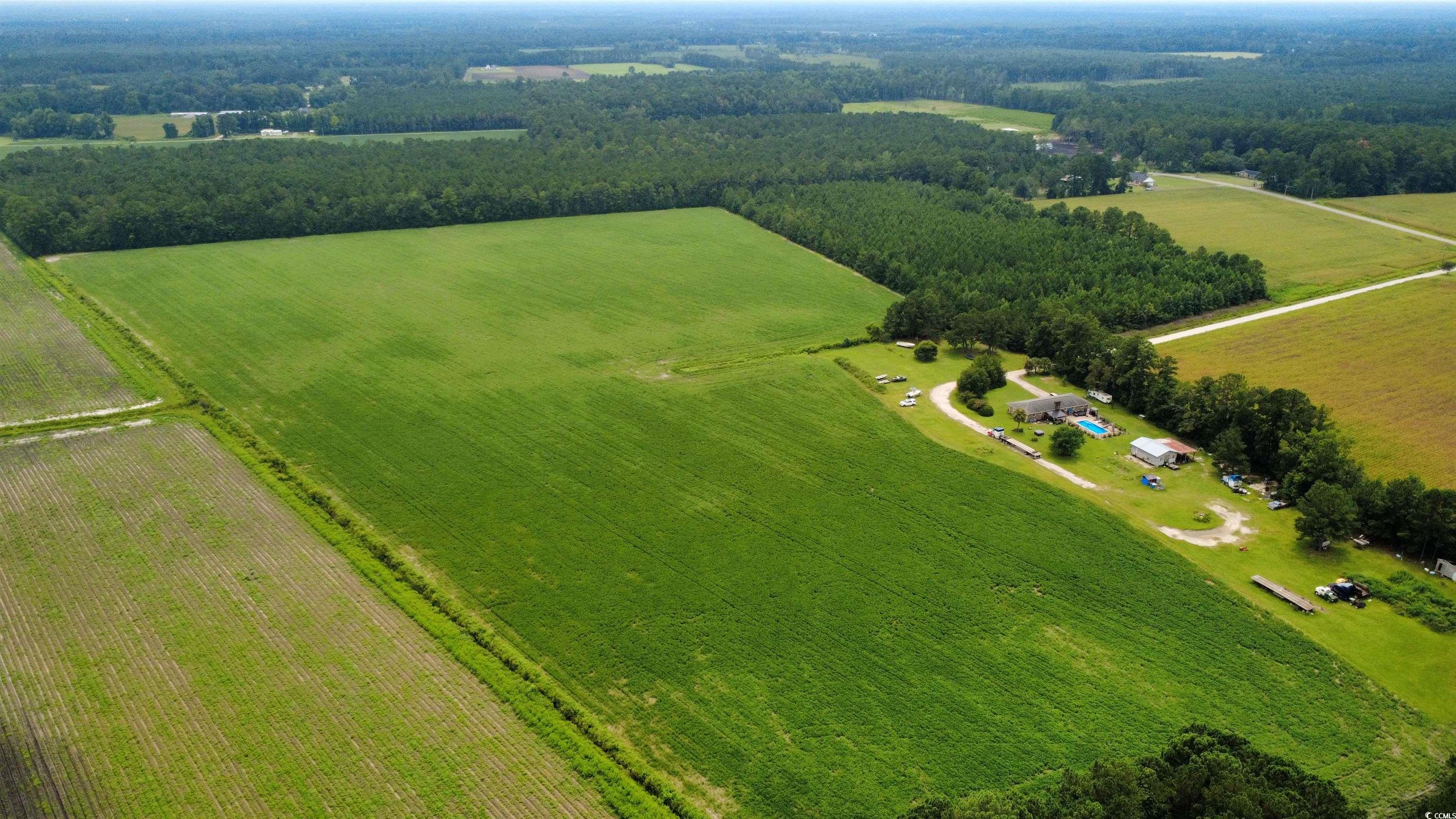 Tbd Ed Road Aynor, SC 29511 - Photo 3 of 6 Overview of rural landscape with rows of crops