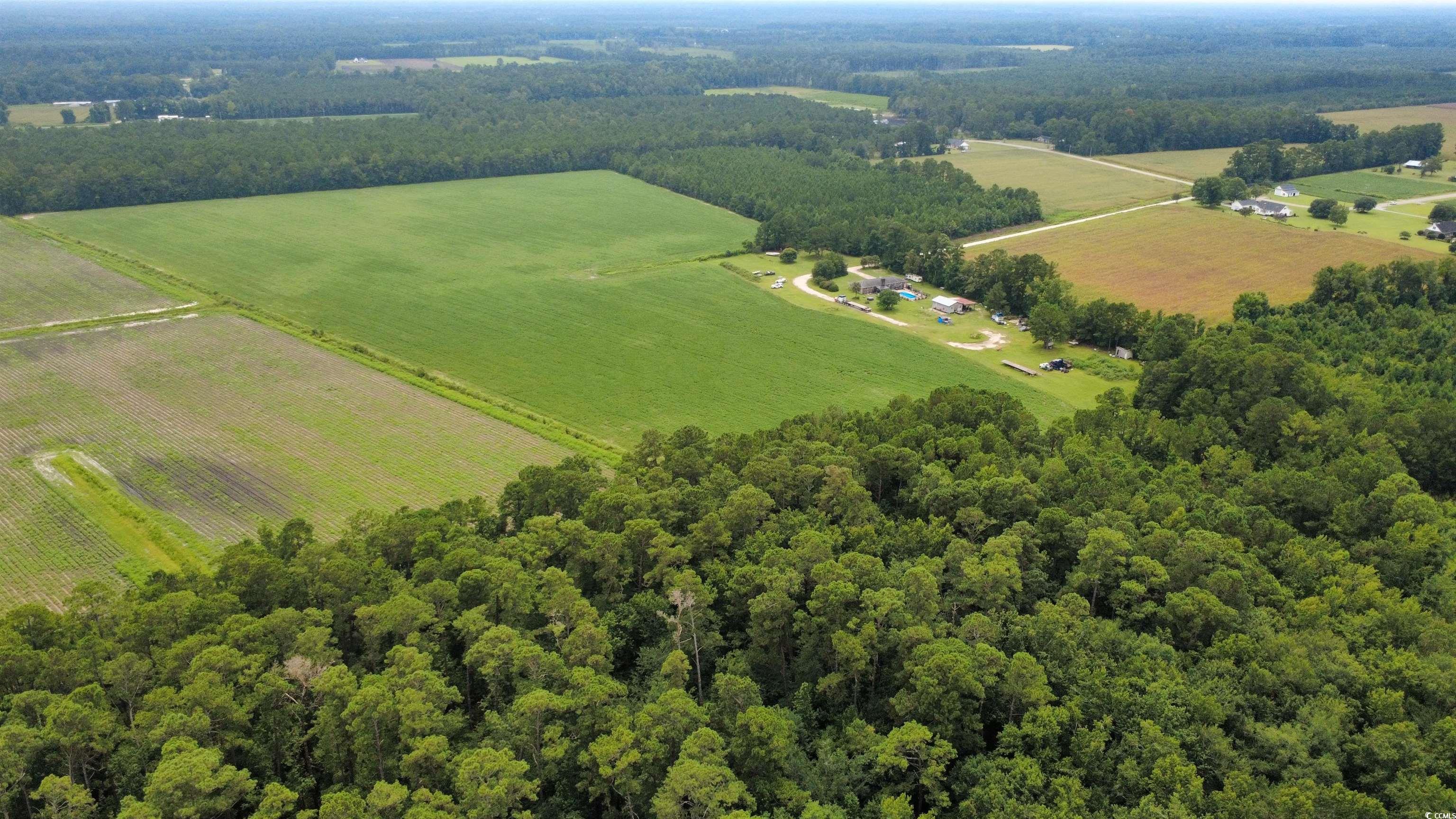 Tbd Ed Road Aynor, SC 29511 - Photo 6 of 6 Overview of rural landscape featuring a forest and large plots for crops