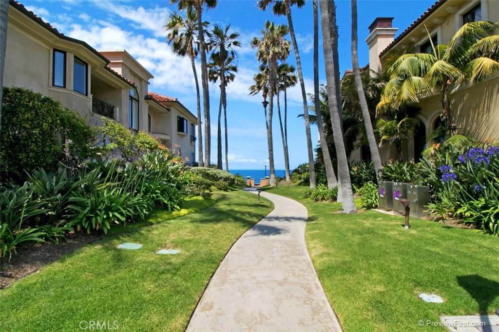 97 Ritz Cove Drive Dana Point, CA 92629 - Photo 41 of 43 a view of a yard in front of a house