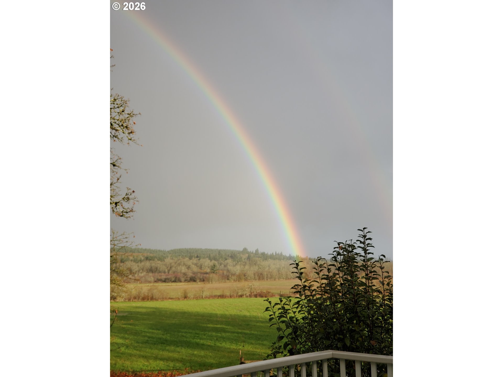 570 Drews Prairie Road Winlock, WA 98596 - Photo 7 of 46 Gallery Image 7