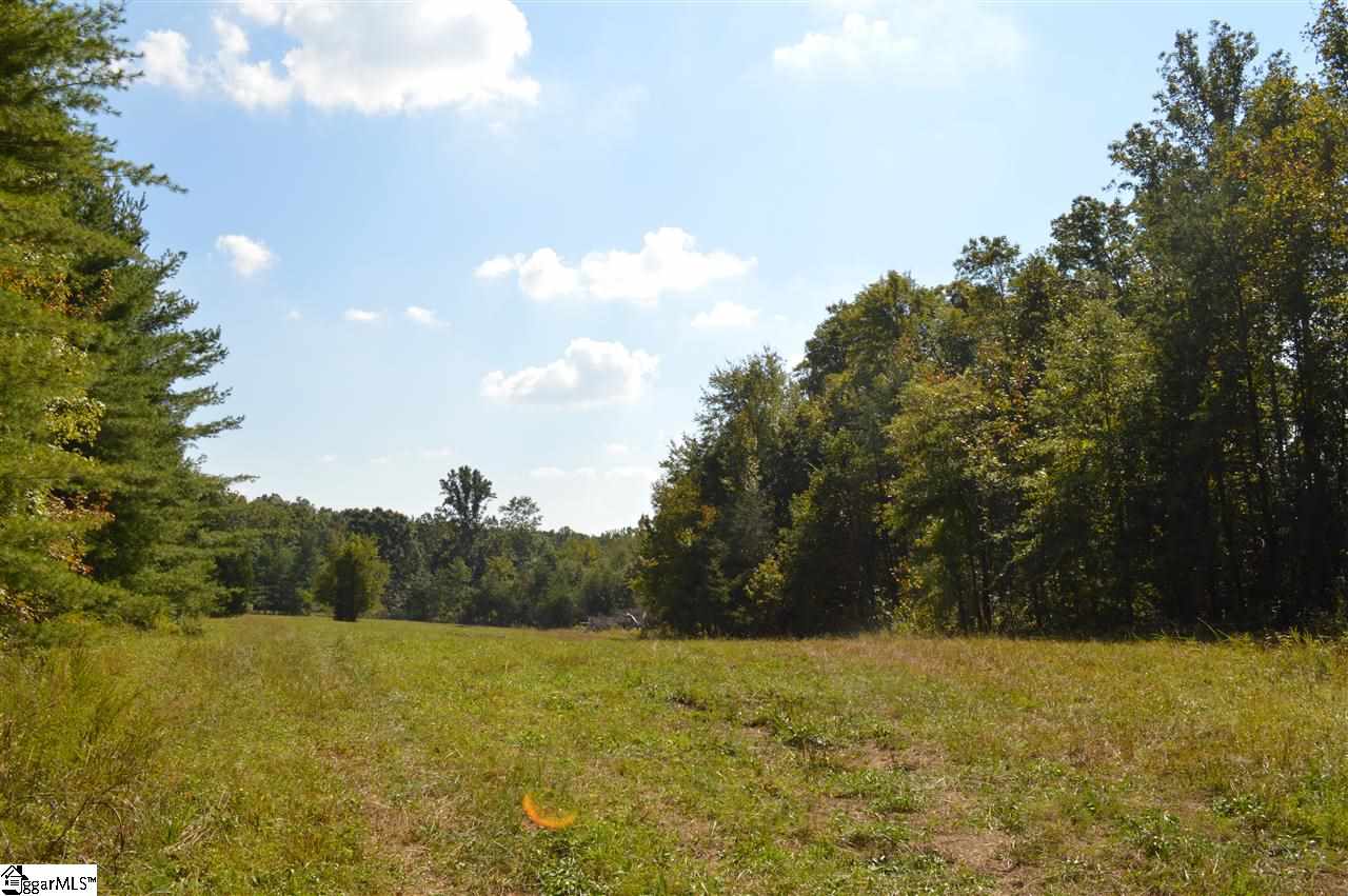 0 Jasmine Lane Tryon, NC 28782 - Photo 1 of 1 Gallery Image 1
