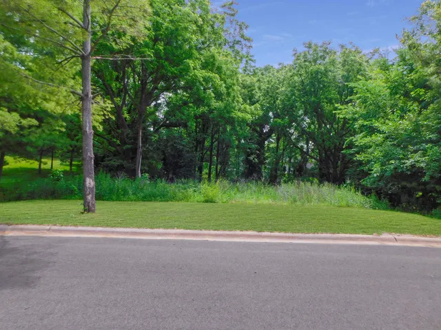 a view of outdoor space and yard